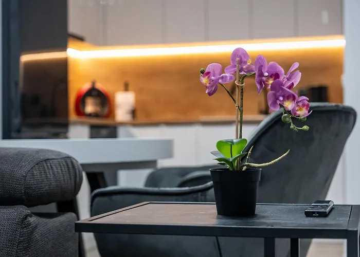 Briz Sea View With Free Parking *